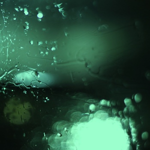 两男一女舔下面的视频户外免费
